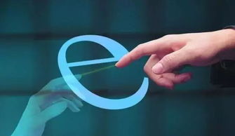 邓欣与28推 7年创业路，铸就重庆最大互联网数字营销公司